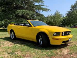 Yellow 2006 Ford Mustang