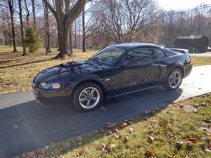 Black 2003 Ford Mustang