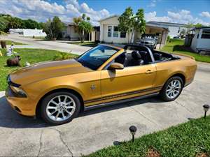 Gold 2010 Ford Mustang