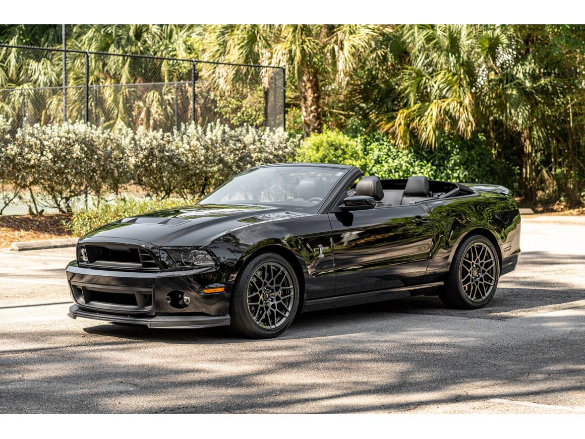 2014 Ford Shelby GT500 for sale by owner in Louisville