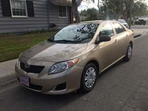 2009 Toyota Corolla with Gold Exterior