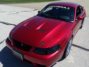 Ford Mustang SVT Cobra for sale by owner in Bath SD