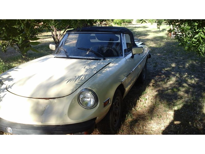 1982 Alfa Romeo Spider for sale by owner in Corning