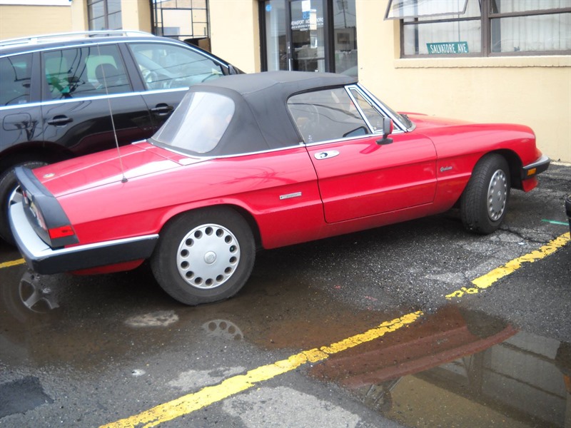 1989 Alfa Romeo Spider for sale by owner in HACKENSACK