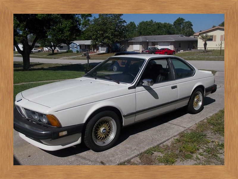 1985 BMW 650i for sale by owner in SPRING HILL