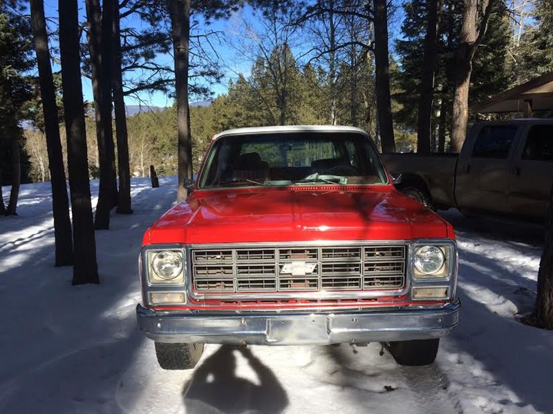 1979 Chevrolet Blazer for sale by owner in Angel Fire