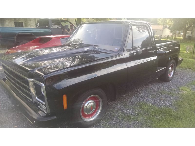 1979 Chevrolet C/K 10 Series for sale by owner in Chambersburg