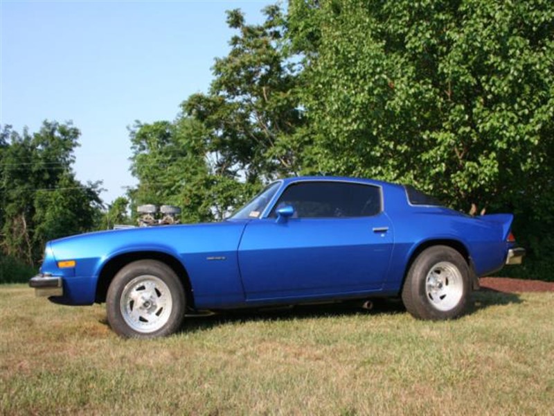 1976 Chevrolet Camaro for sale by owner in LAKEVILLE