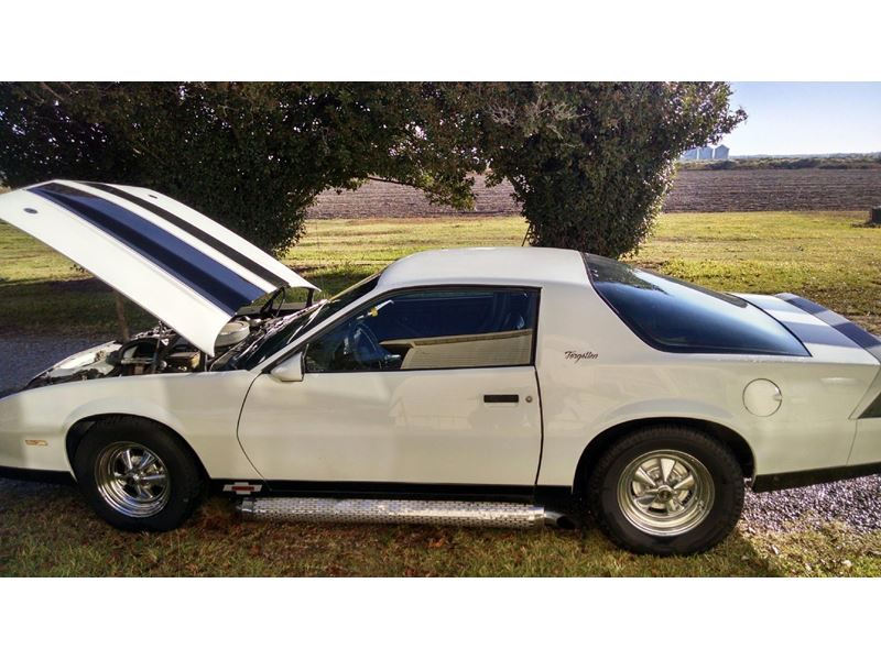 1984 Chevrolet Camaro for sale by owner in Waterproof