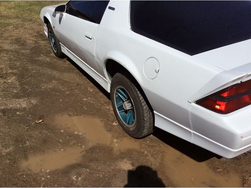 1989 Chevrolet Camaro for sale by owner in Newaygo