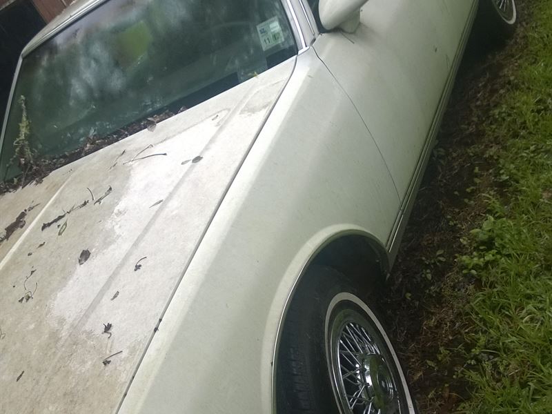 1984 Chevrolet Caprice for sale by owner in BATON ROUGE