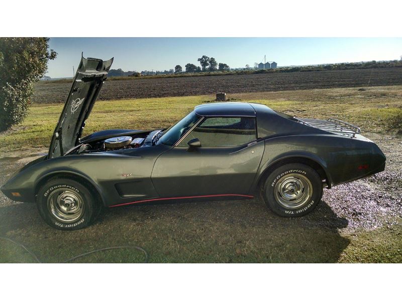 1977 Chevrolet Corvette for sale by owner in Waterproof