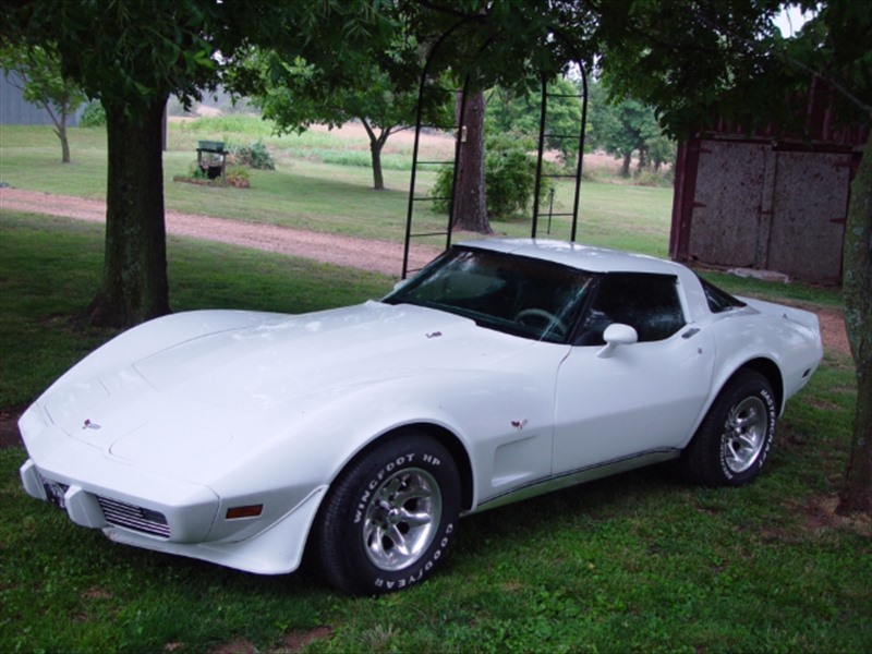 1979 Chevrolet Corvette for sale by owner in WINGO