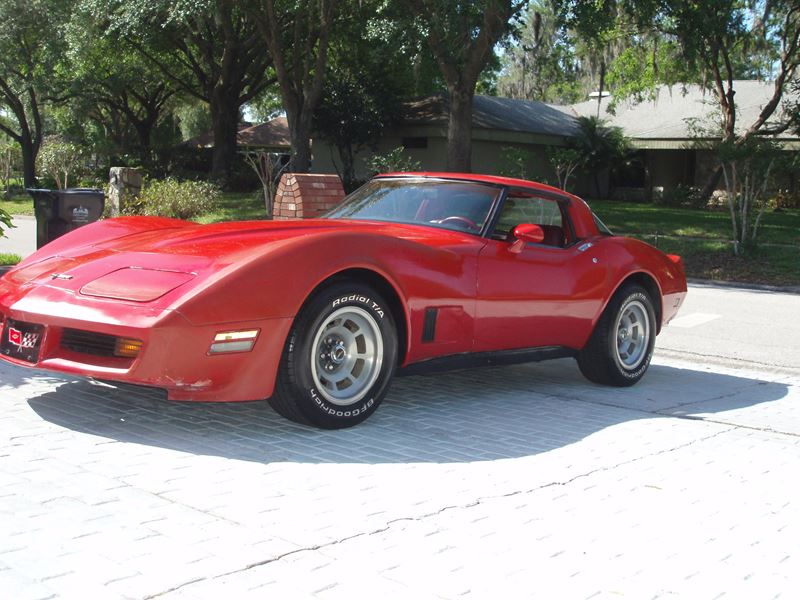1981 Chevrolet Corvette for sale by owner in Lutz