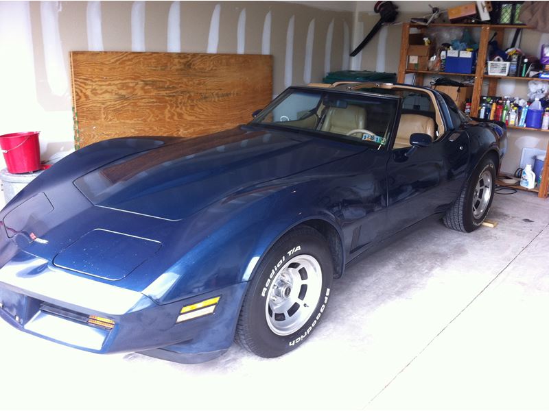 1981 Chevrolet Corvette for sale by owner in Eagleville