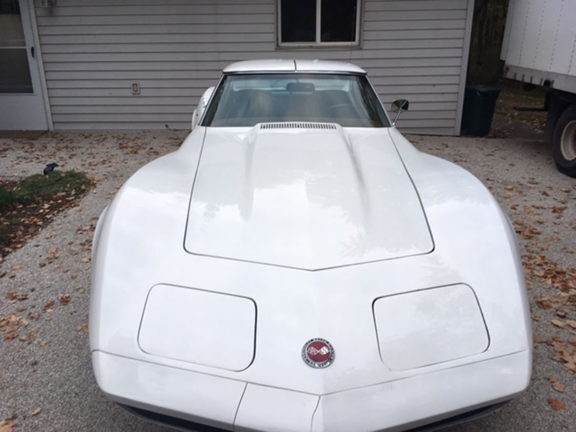 1973 Chevrolet Corvette Stingray for sale by owner in Saginaw