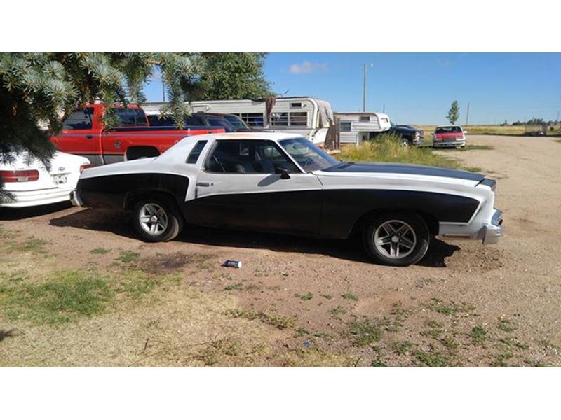 1976 Chevrolet Monte Carlo for sale by owner in Cheyenne