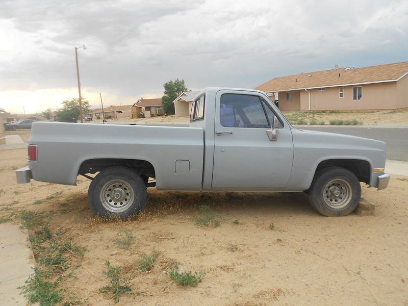 1987 Chevrolet R10 for sale by owner in FRUITLAND