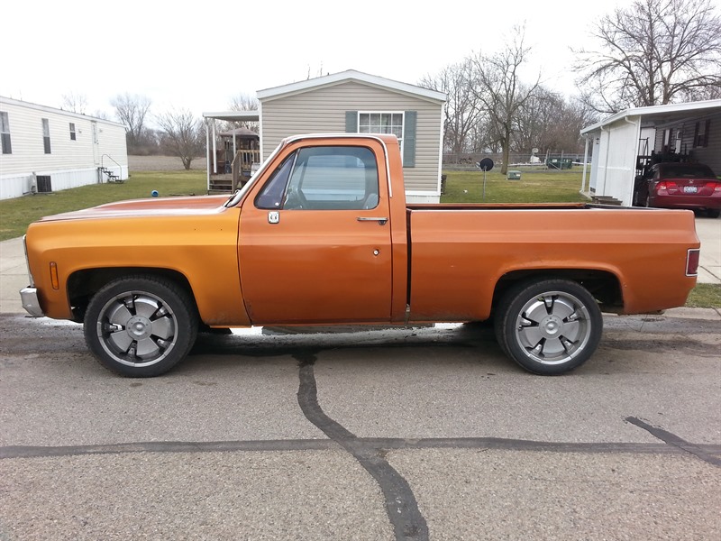 1979 Chevrolet Silverado 1500 for sale by owner in SPRINGFIELD