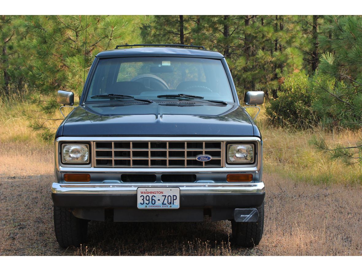 1987 Ford Bronco II for sale by owner in Trout Lake