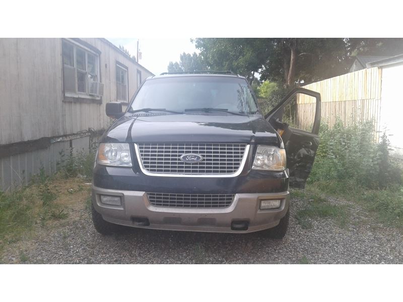 2004 Ford Expedition for sale by owner in Ballantine