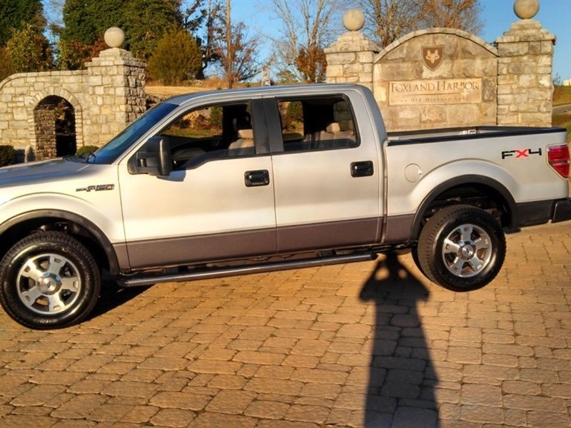 2009 Ford F-150 for sale by owner in OCKLAWAHA