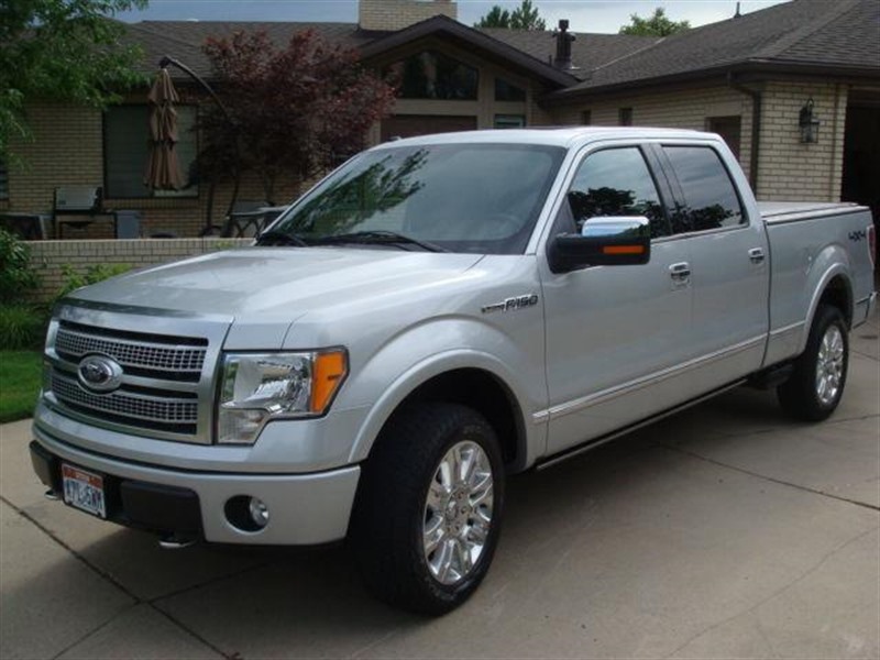 2009 Ford F-150 for sale by owner in LOBELVILLE