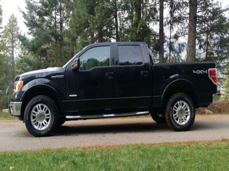 2014 Ford F-150 for sale by owner in Moscow