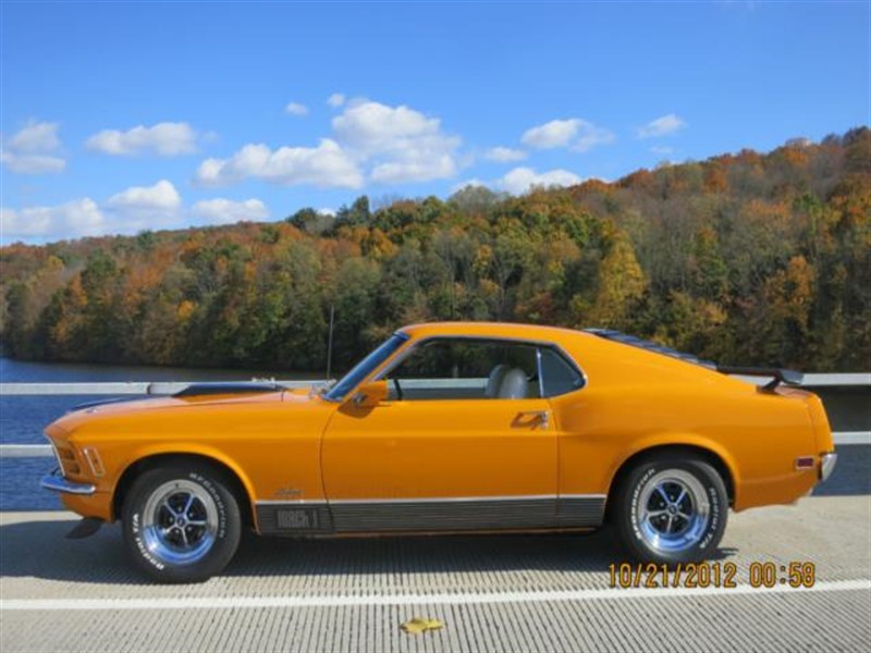 1970 Ford Mustang for sale by owner in BRONX