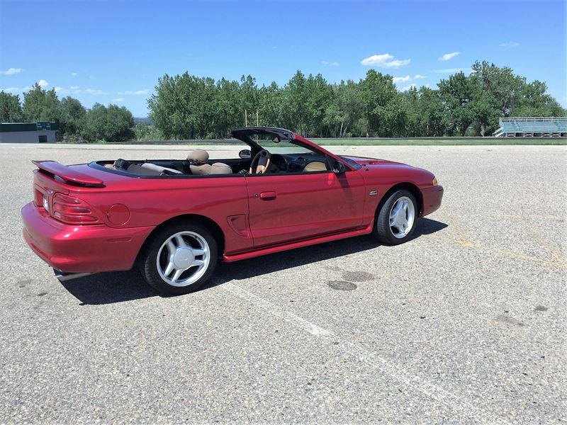 1995 Ford Mustang for sale by owner in Niwot