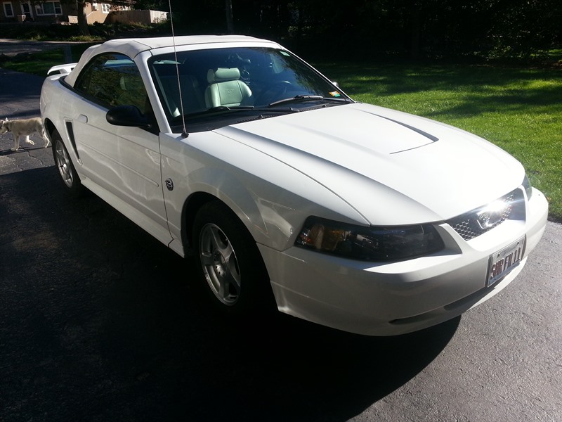 2004 Ford Mustang for sale by owner in SPRING GROVE