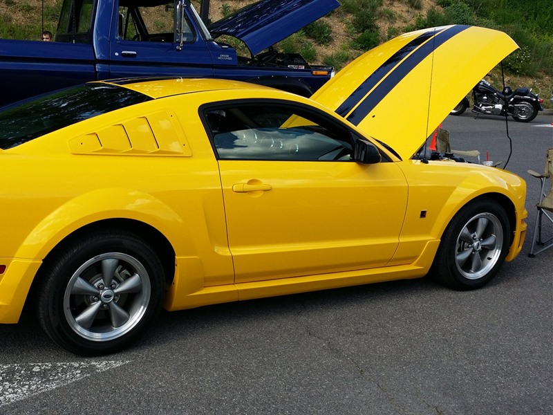 2005 Ford Mustang for sale by owner in BLOOMINGTON