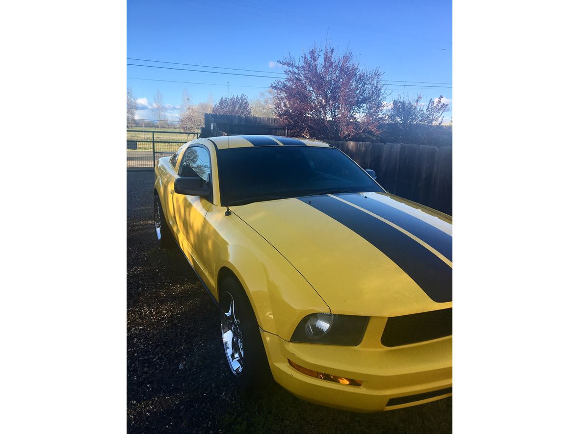 2005 Ford Mustang for sale by owner in Palermo