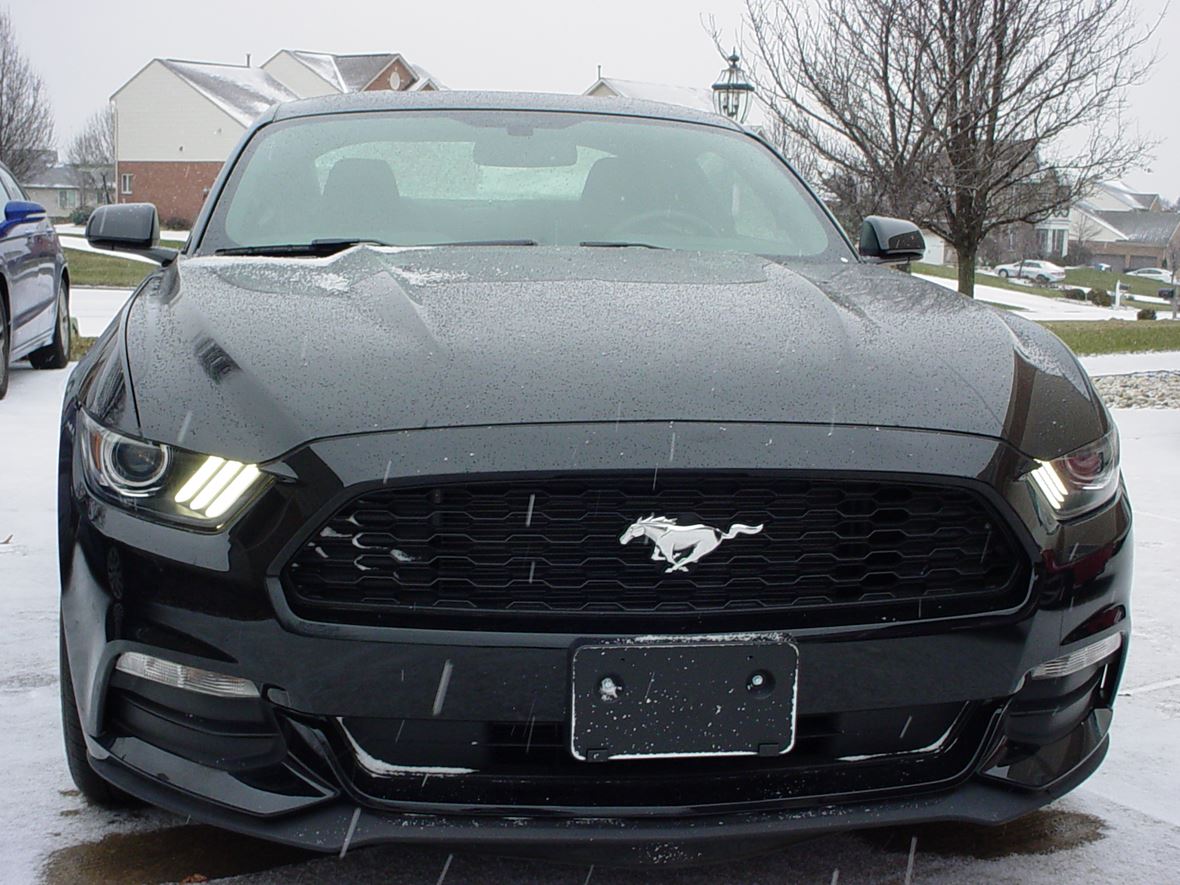 2015 Ford Mustang for sale by owner in Hamilton
