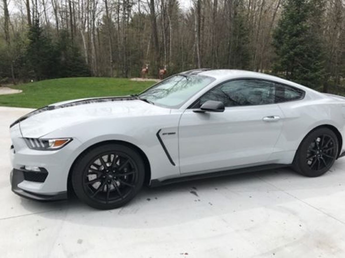 2016 Ford Mustang Shelby GT350 for sale by owner in Chula Vista