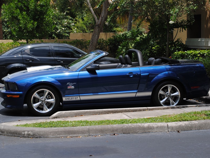 2008 Ford Shelby for sale by owner in FORT LAUDERDALE