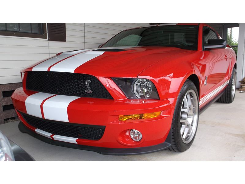 2008 Ford Shelby GT500 for sale by owner in Columbus