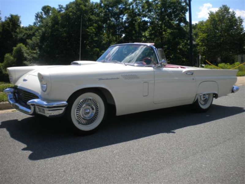 1957 Ford Thunderbird for sale by owner in BEAVERDAM