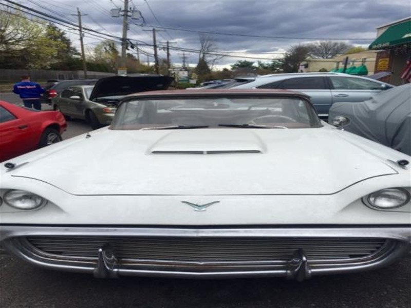 1959 Ford Thunderbird for sale by owner in COEYMANS