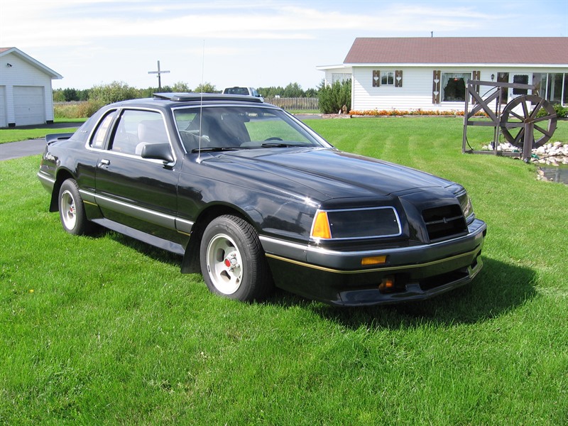 1985 Ford Thunderbird for sale by owner in PICKFORD