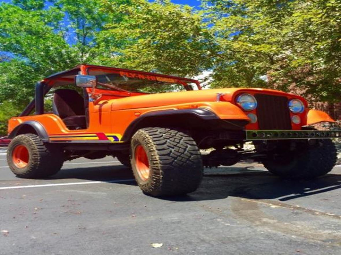 1973 Jeep cj for sale by owner in Englewood