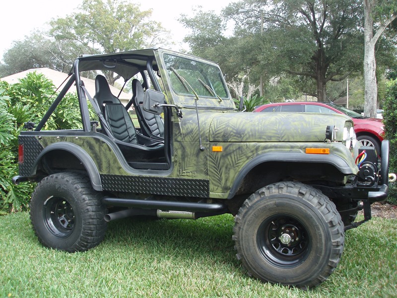1978 Jeep cj5 for sale by owner in LUTZ