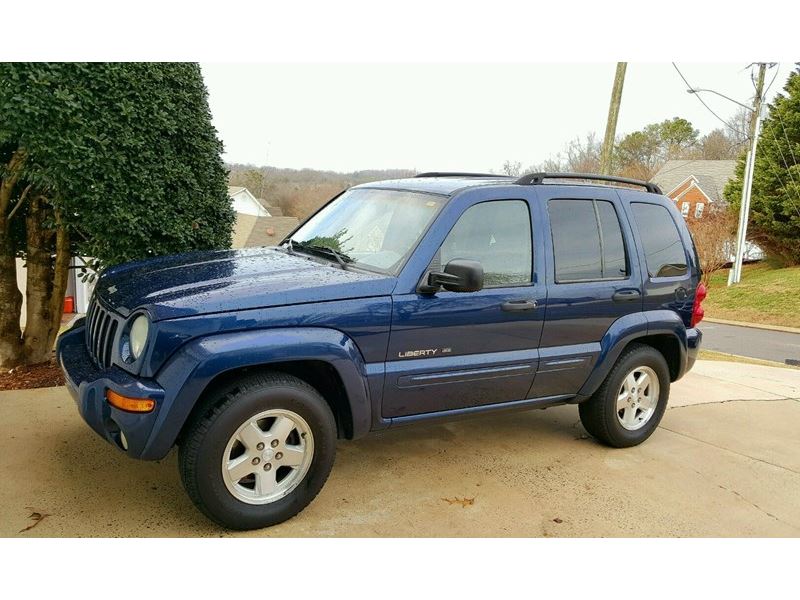 2002 jeep liberty cruise control