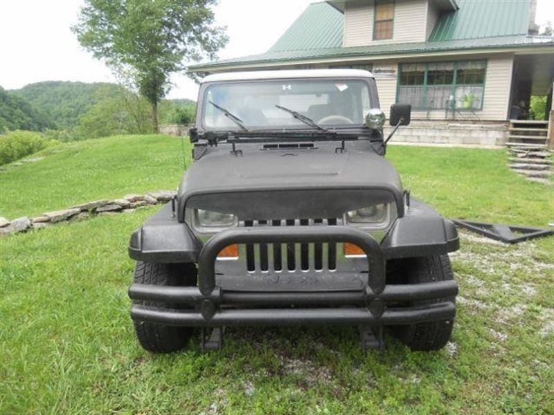 1989 Jeep Wrangler for sale by owner in DYER