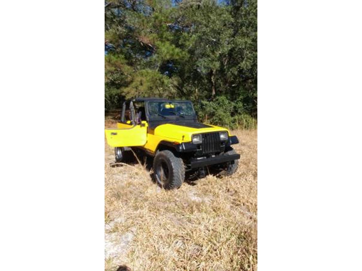 1994 Jeep Wrangler for sale by owner in Silver Springs