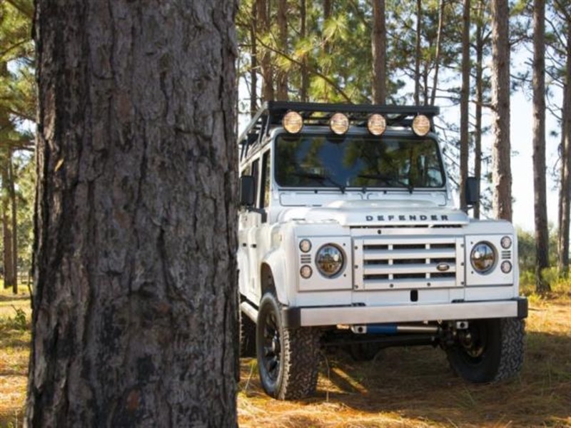 1986 Land Rover Defender for sale by owner in CAPE CORAL
