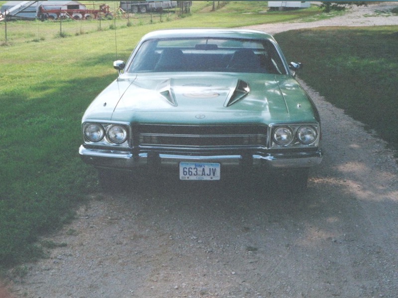 1974 Plymouth Roadrunner for sale by owner in LEWIS