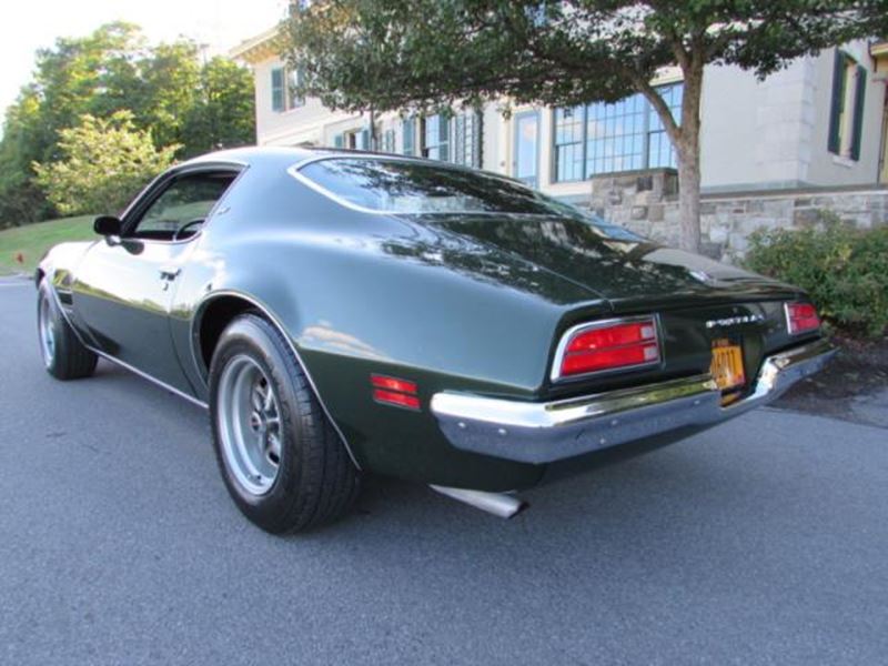 1971 Pontiac Firebird for sale by owner in CARLE PLACE