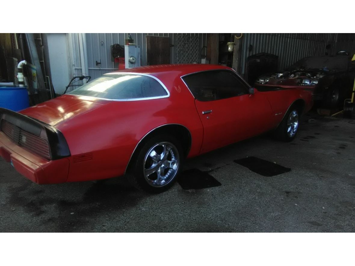 1979 Pontiac Firebird for sale by owner in Elma