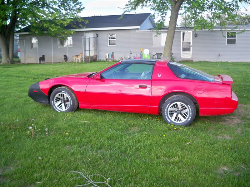 1991 Pontiac Firebird for sale by owner in MORRISON
